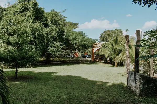 A green lawn and planted garden beside a wooden fence