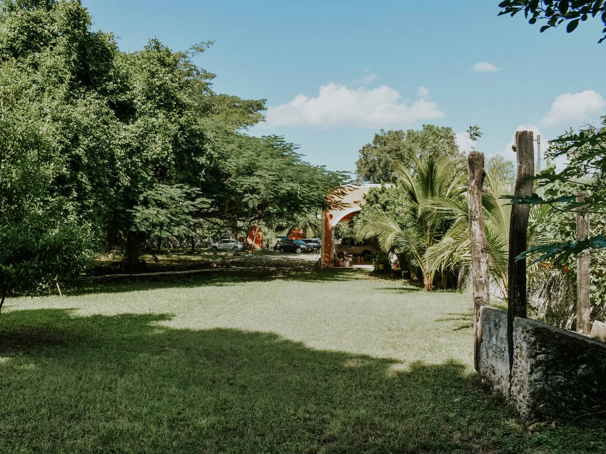 A green lawn and planted garden beside a wooden fence